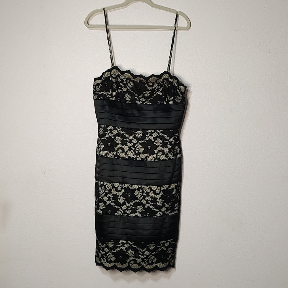 JS Collections Vintage Floral Black and Nude Lace Dress Size 12